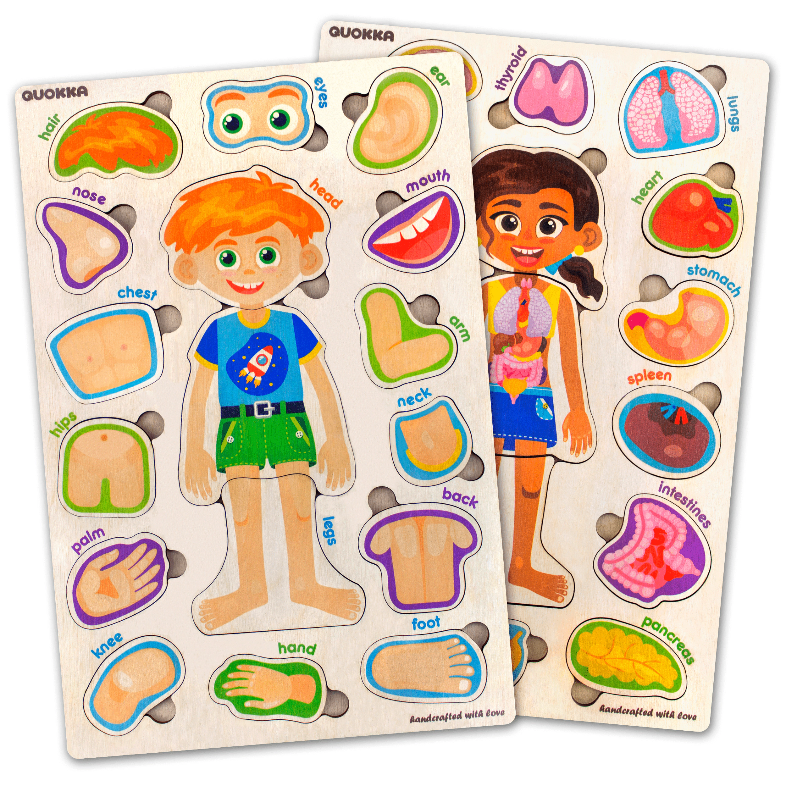 QUOKKA Human Anatomy Puzzle Set for Kids, Wooden & Magnetic Body Parts Learning Toy