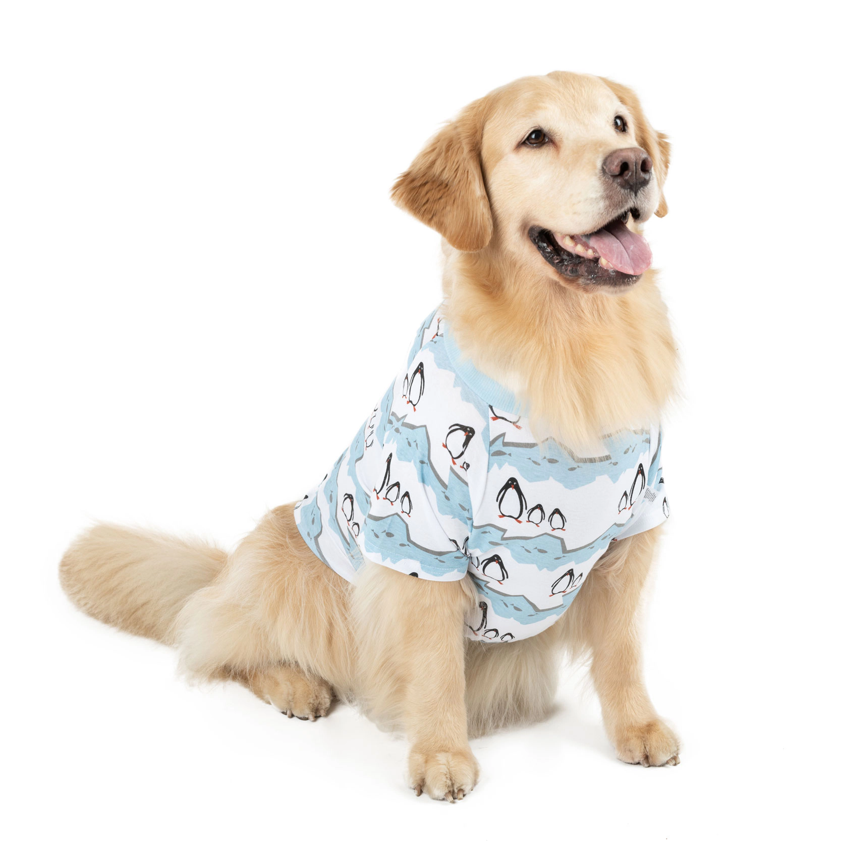 Leveret Big Dog Holiday Print Cotton Pajamas