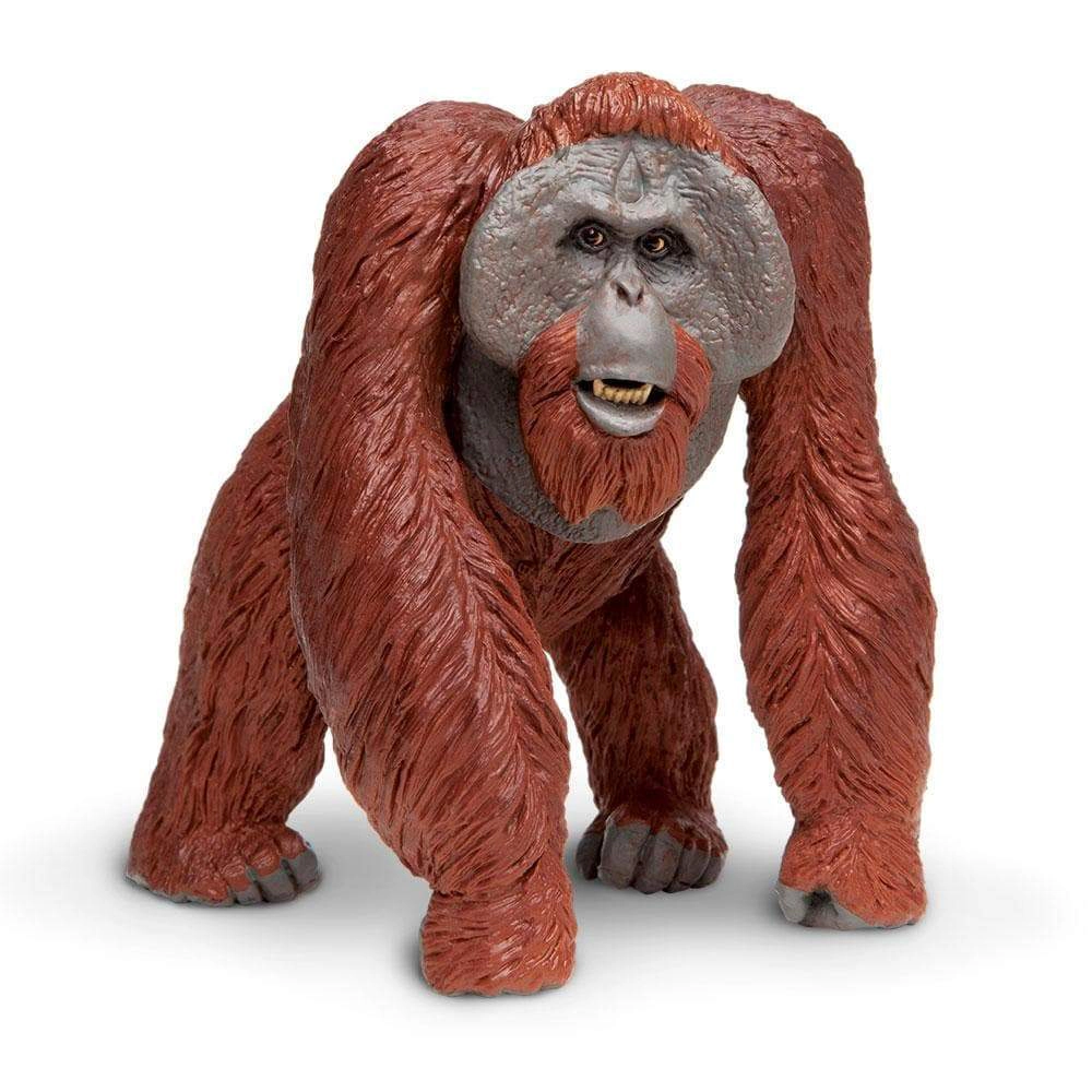 Safari Ltd. - Bornean Orangutan Kids Toy Figure