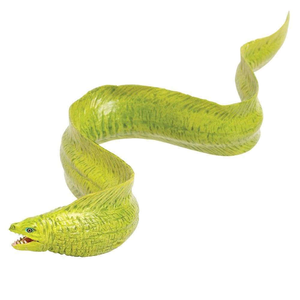 Safari Ltd. - Moray Eel Kids Toy Figure