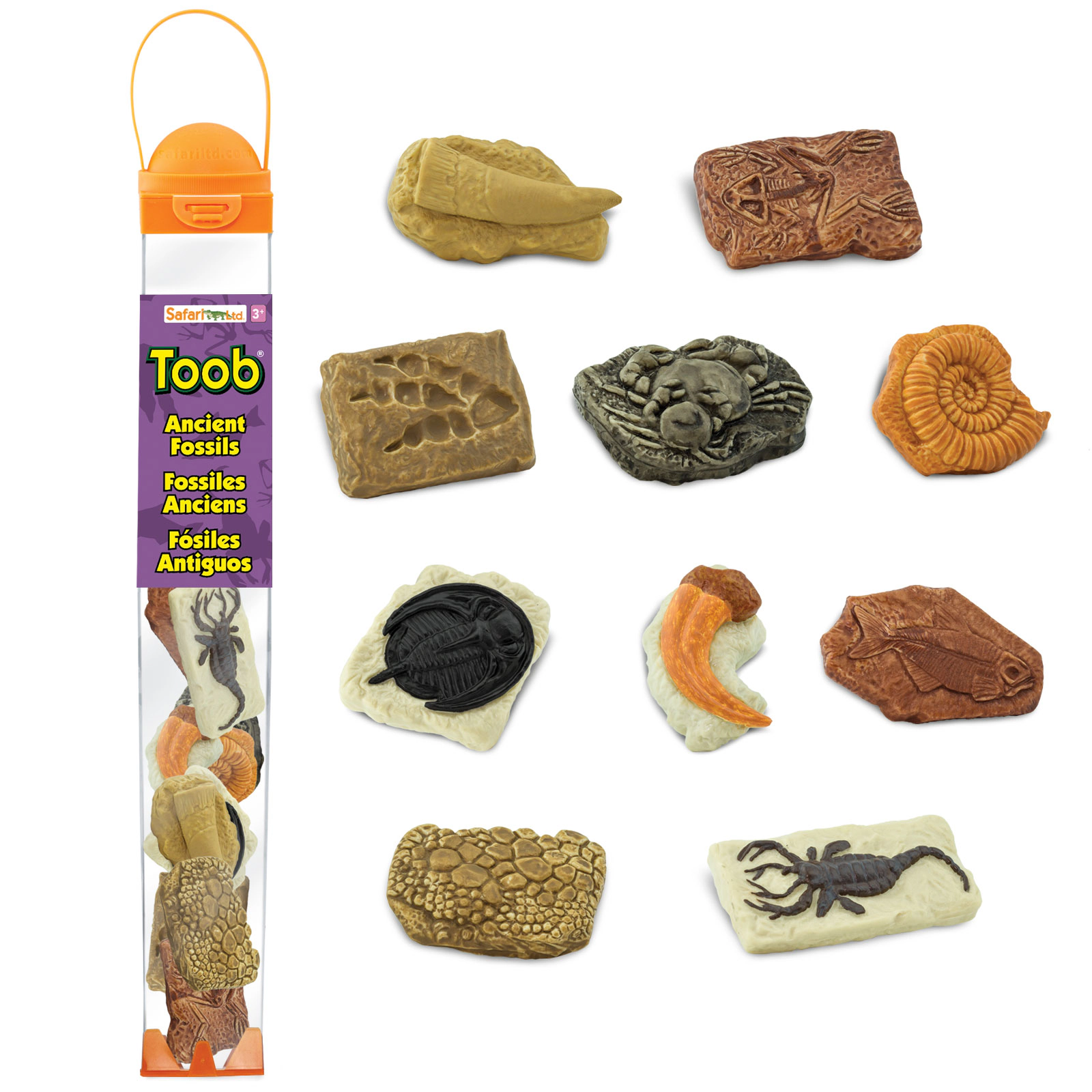 Safari Ltd. - Ancient Fossils TOOB - contains 10 Mini Figurines