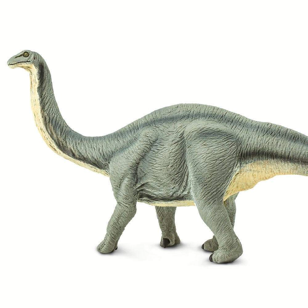 Safari Ltd. - Apatosaurus Kids Prehistoric/Dinosaur Toy Figure