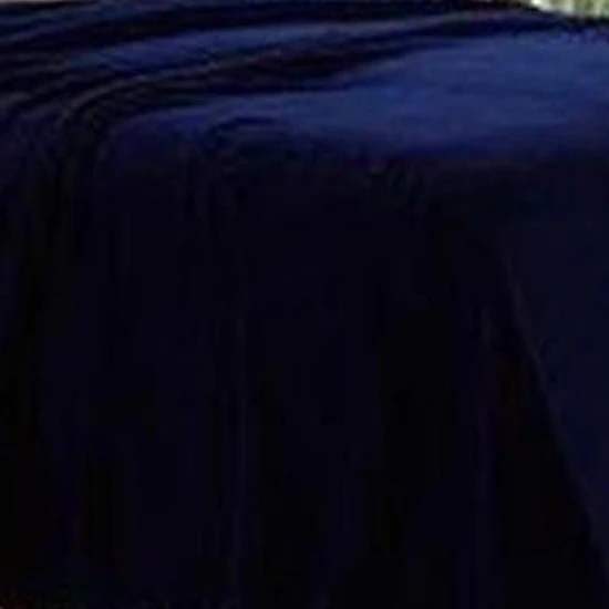 Plazatex Micro Plush Solid Blanket - Queen 86x86", Navy