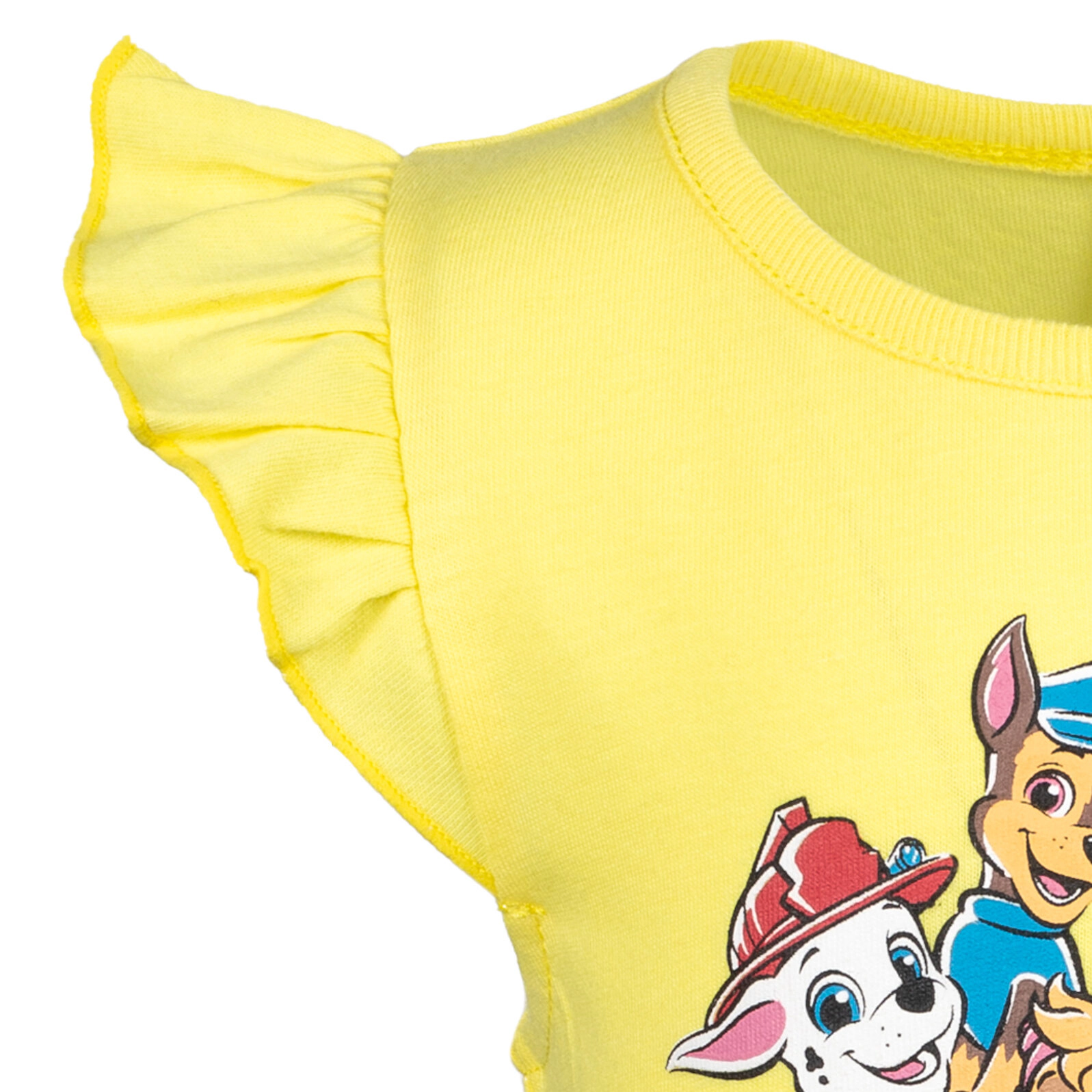 Paw Patrol Girls' Short Sleeve Tutu Dress