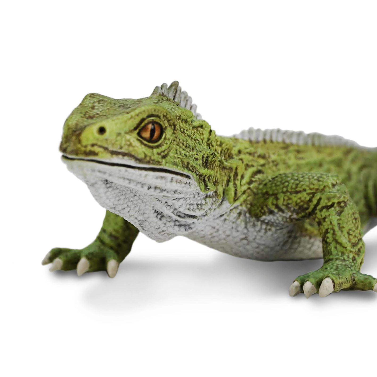 Safari Ltd. - Tuatara Kids Toy Figure