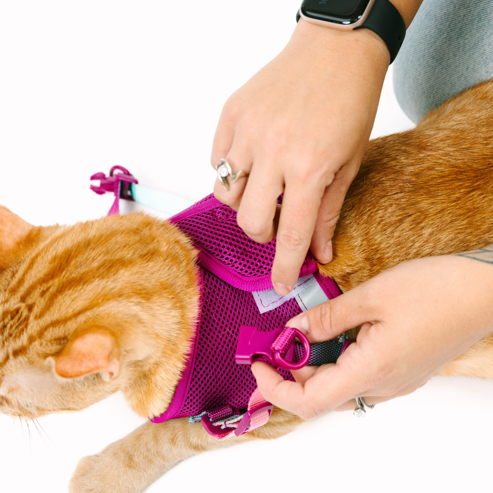 Pink Papyrus Stasia Cat Harness and Leash Set