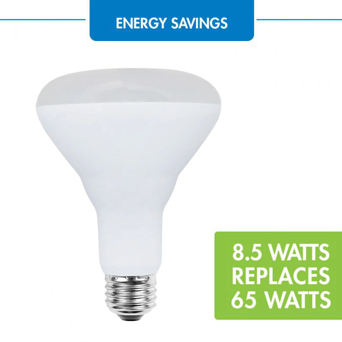 Viribright® BR30 LED Bulb, E26, Screw Base, 65W Equivalent, 700 Lumens, Dimmable, CEC, 90+ CRI, Daylight 5000K