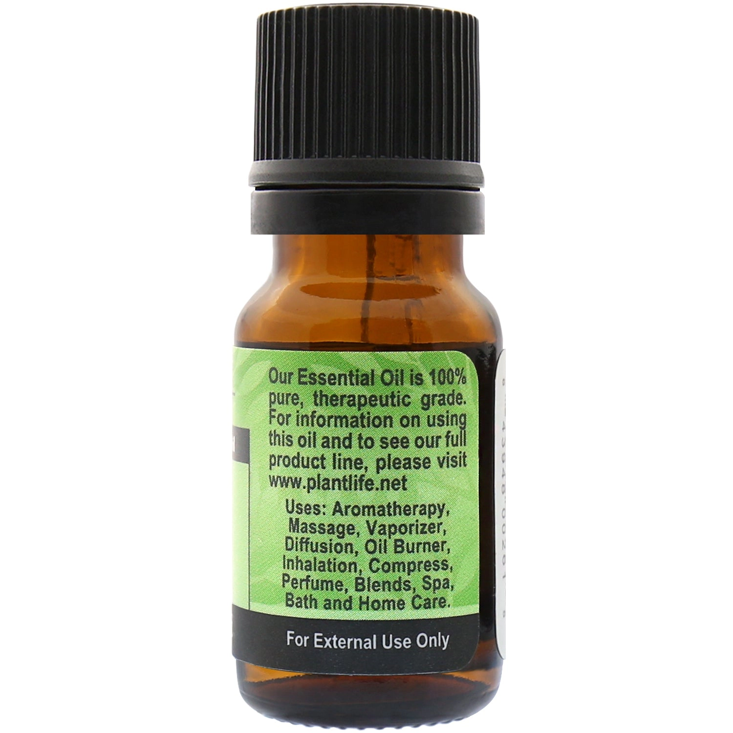 Plantlife Fir Needle Essential Oil