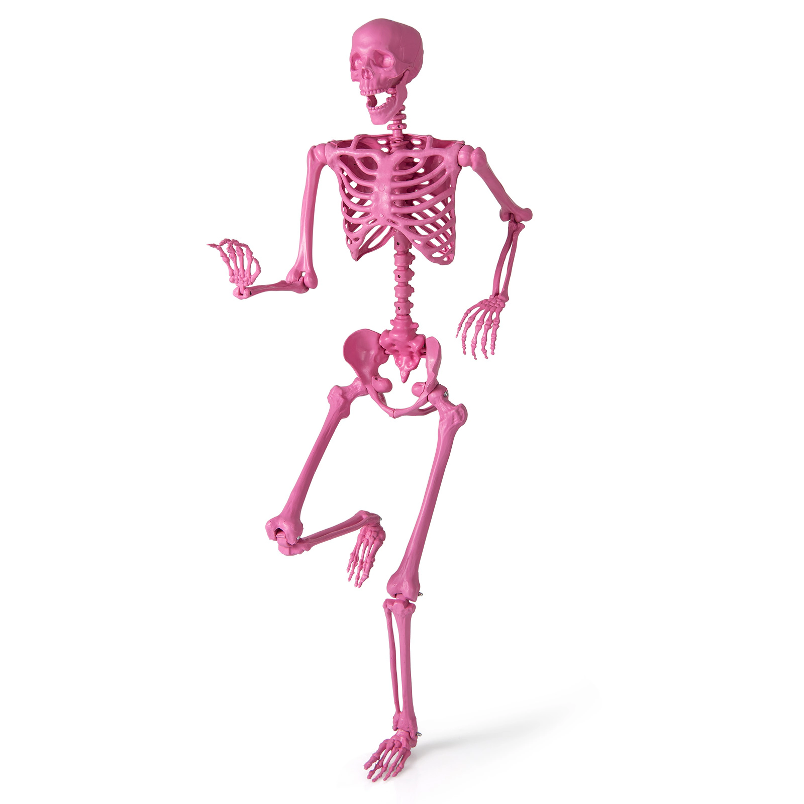 LJG 5.5 FT Life-Size Halloween Poseable Skeleton Pink Movable Joints
