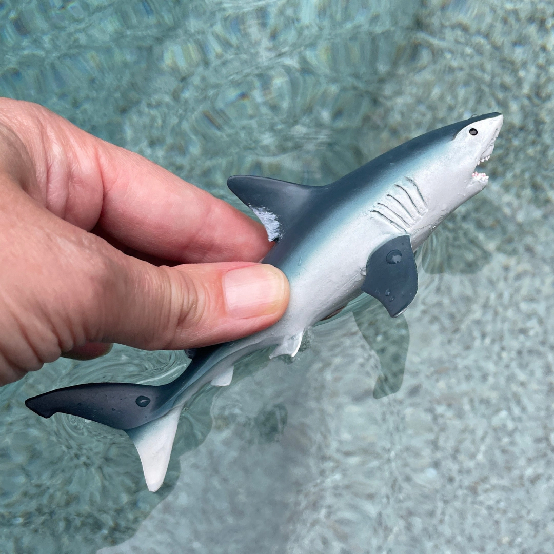 Safari Ltd. - Porbeagle Shark Sea Life Kids Toy Figure
