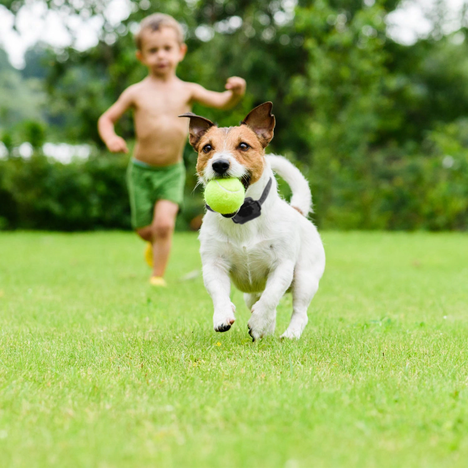 GBruno Wireless Electric Dog Fence Containment System