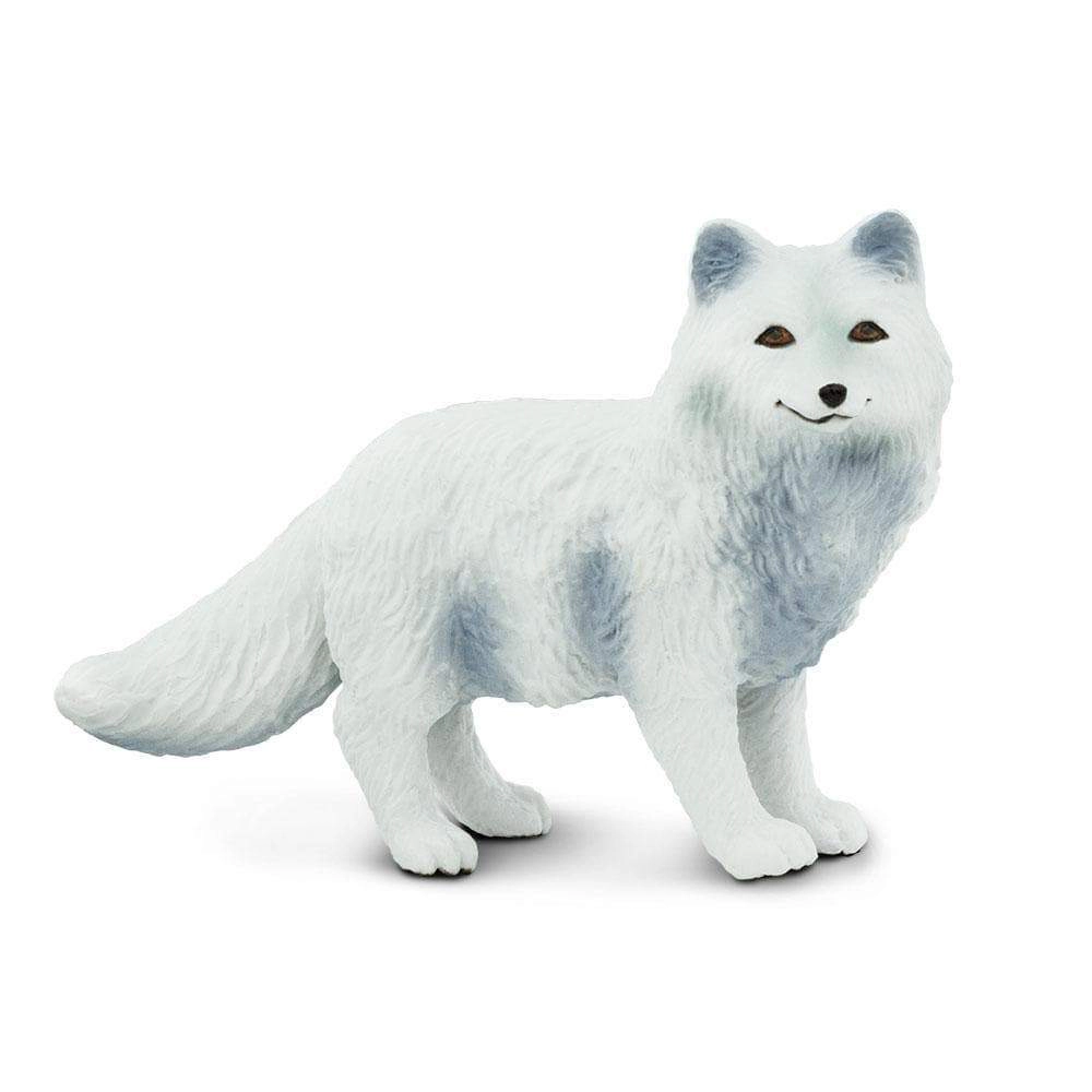 Safari Ltd. - Arctic Fox Kids Toy Figure