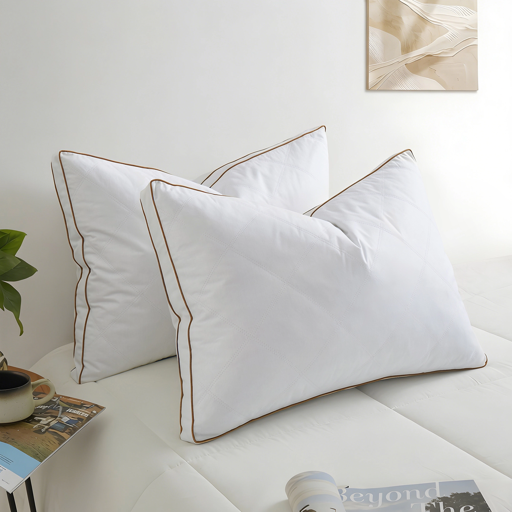 Peace Nest 2 Pack Feather and Down Medium Support Pillows