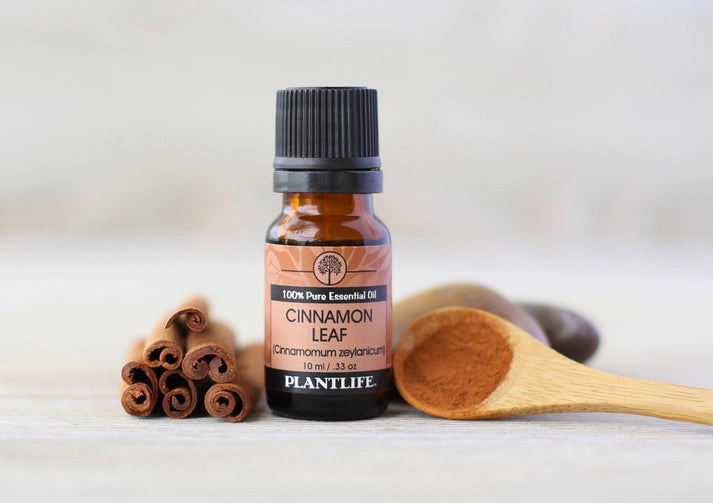 Plantlife Cinnamon Leaf Essential Oil