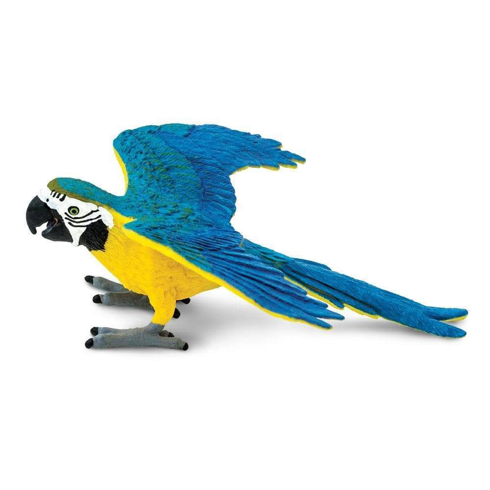 Safari Ltd. - Blue & Gold Macaw Kids Toy Figure