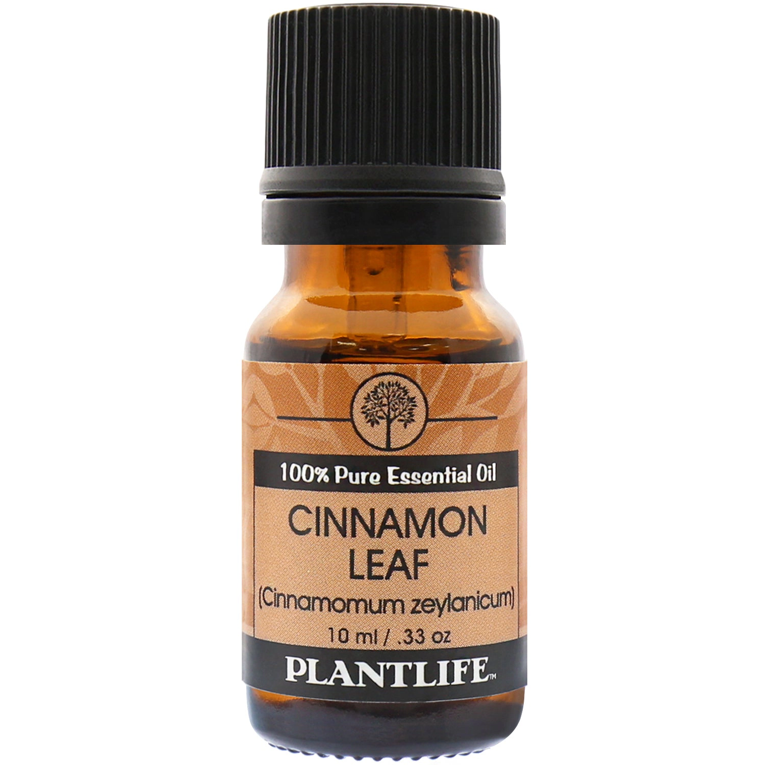Plantlife Cinnamon Leaf Essential Oil