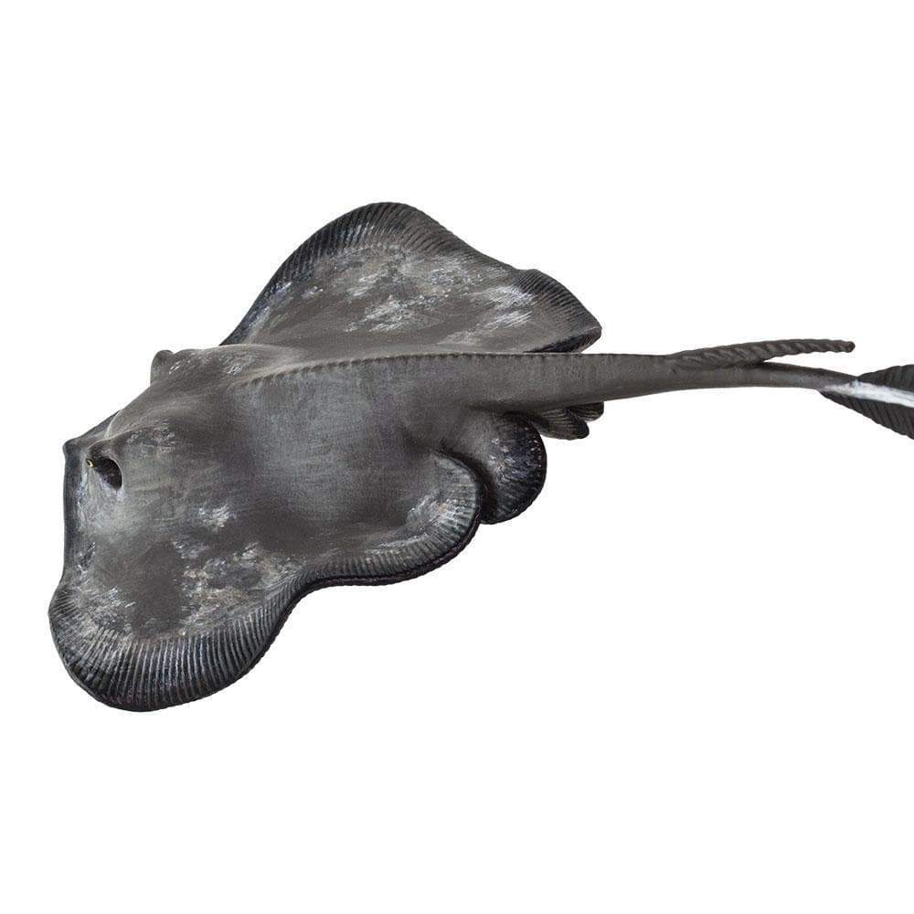 Safari Ltd. - Sting Ray Kids Toy Figure