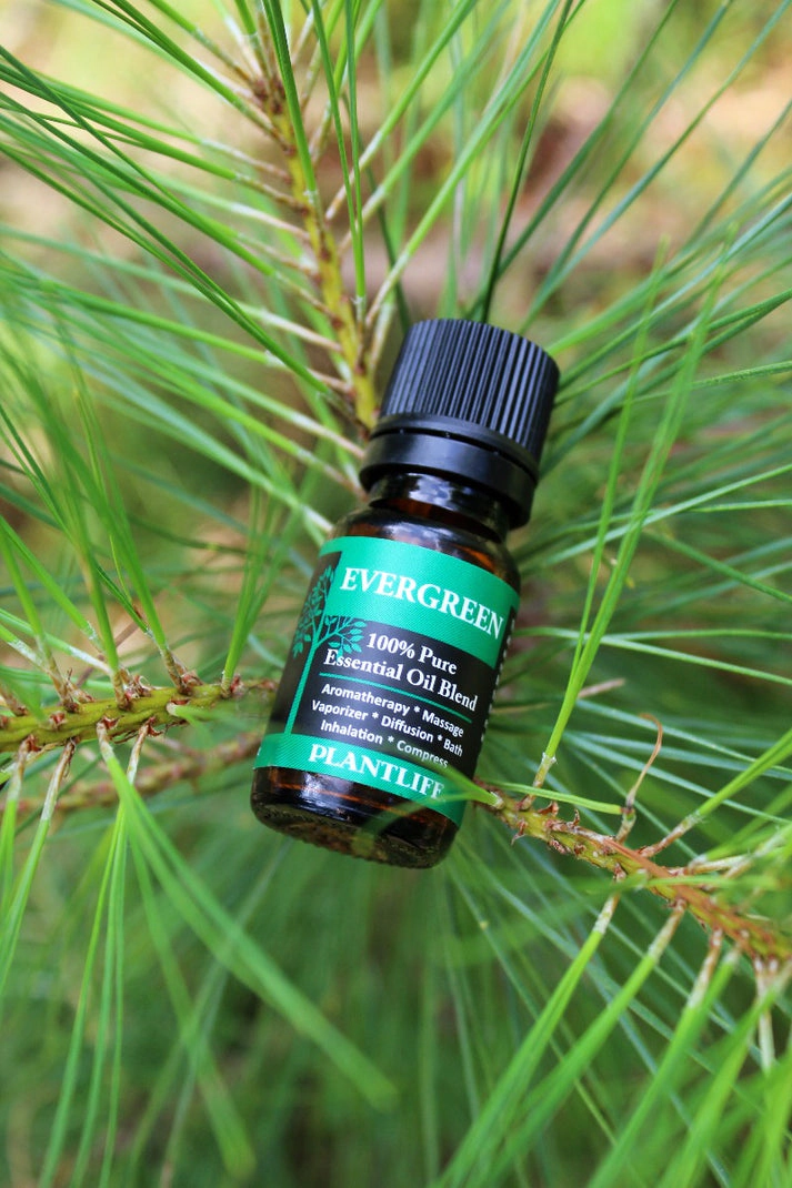 Plantlife Evergreen Essential Oil Blend