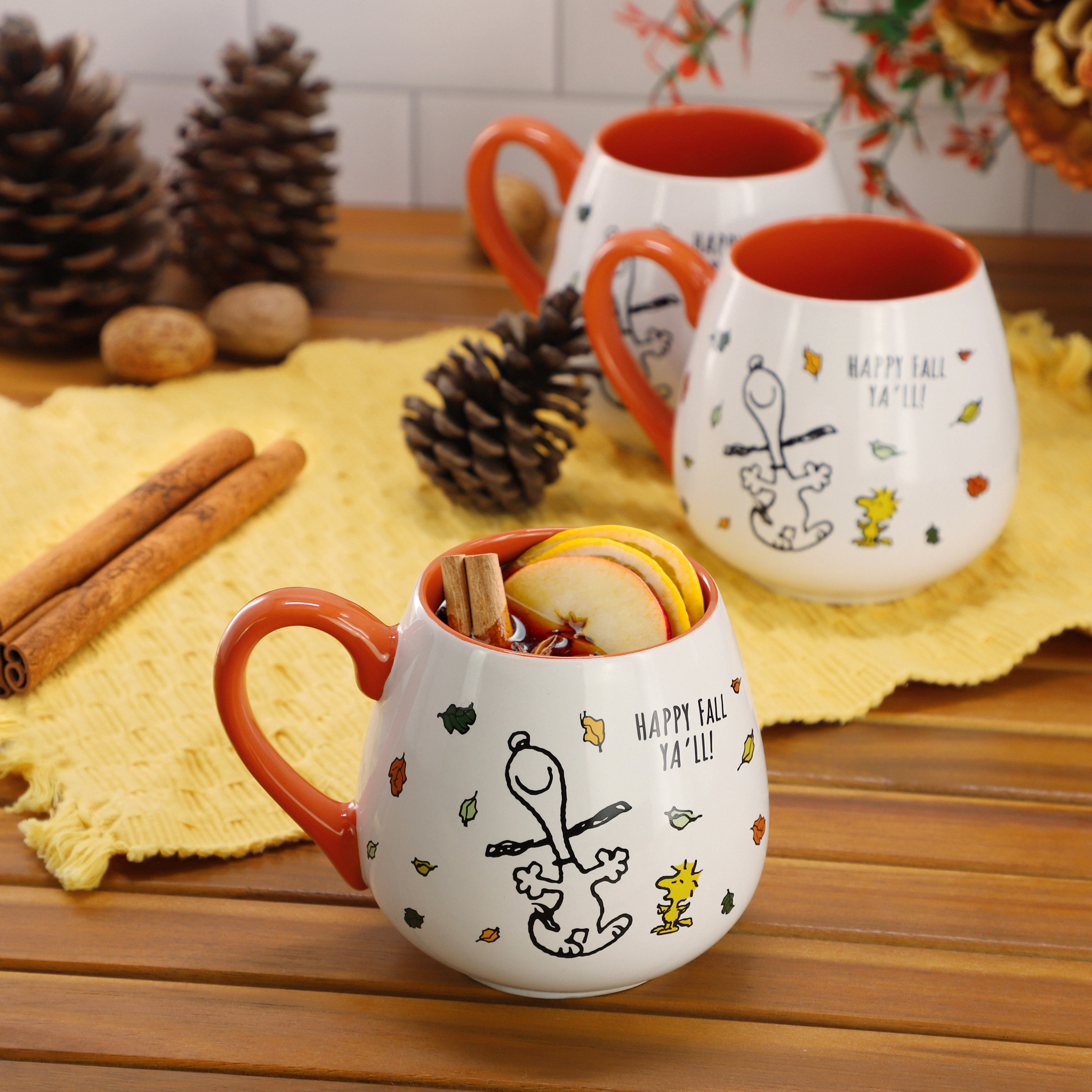 Peanuts Happy Fall Ya'll 20 Ounce 6 Piece Stoneware Mug Set in Orange