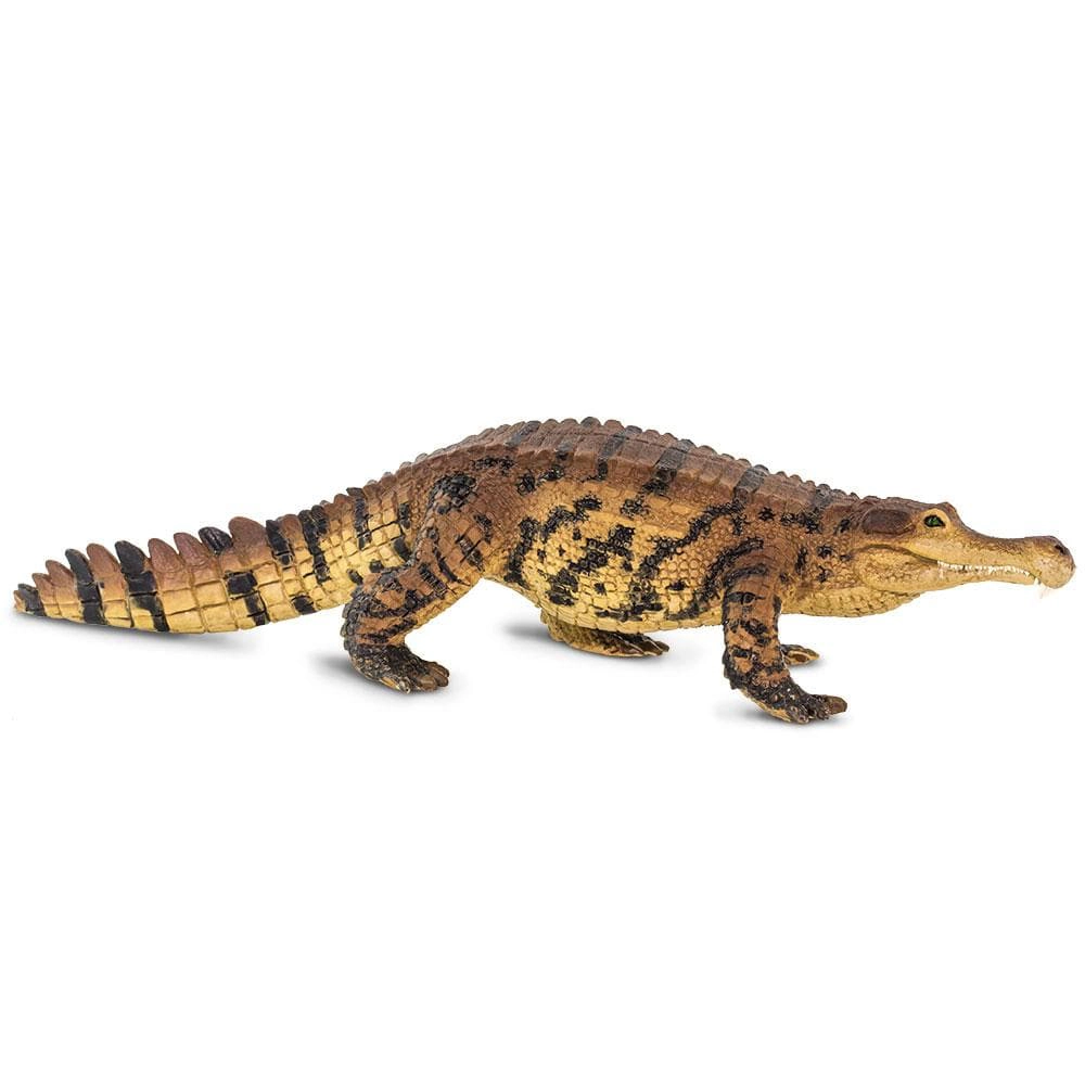 Safari Ltd. - Sarcosuchus Kids Prehistoric/Dinosaur Toy Figure