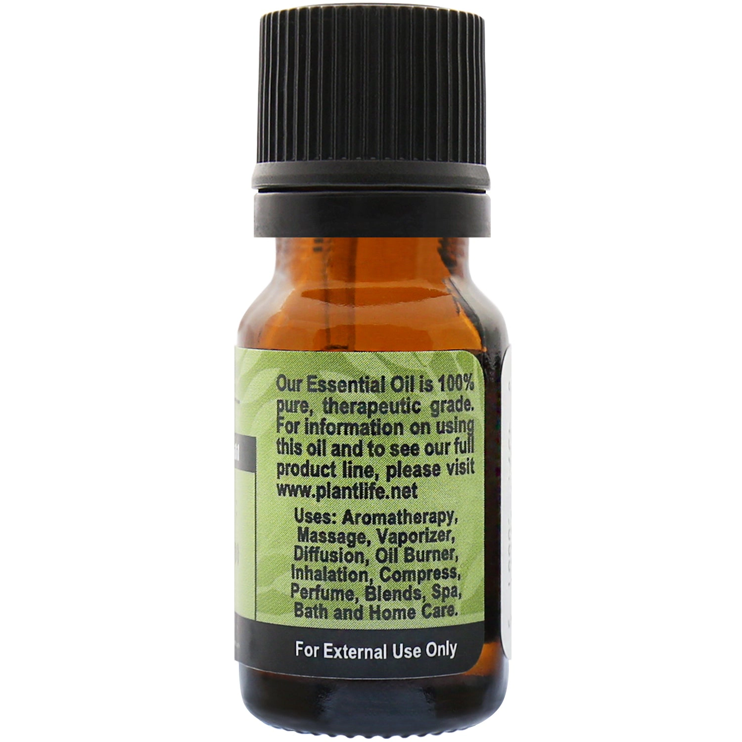 Plantlife Cedar Leaf Essential Oil