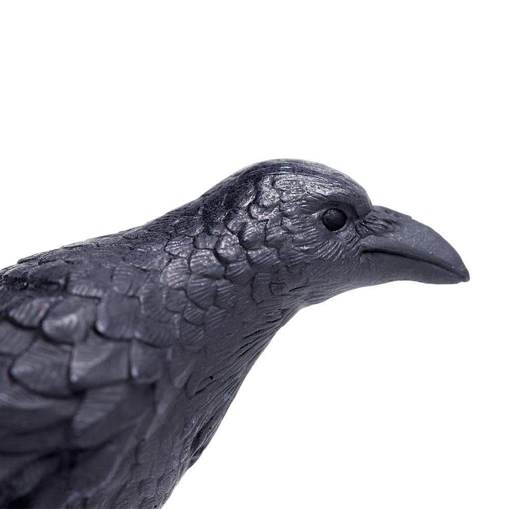 Safari Ltd. - Raven Kids Toy Figure