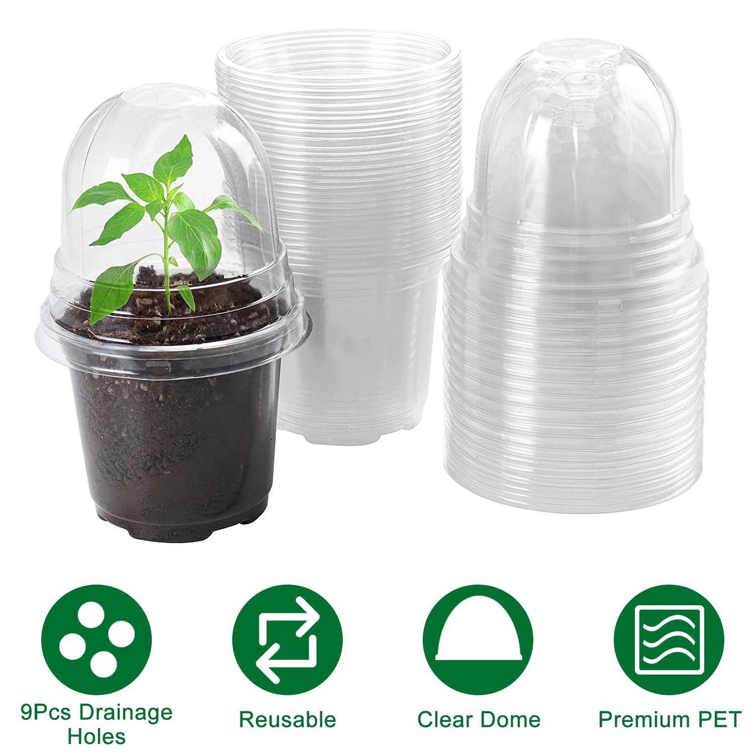 GBruno 30-Piece Clear Plant Nursery Pots With Domes