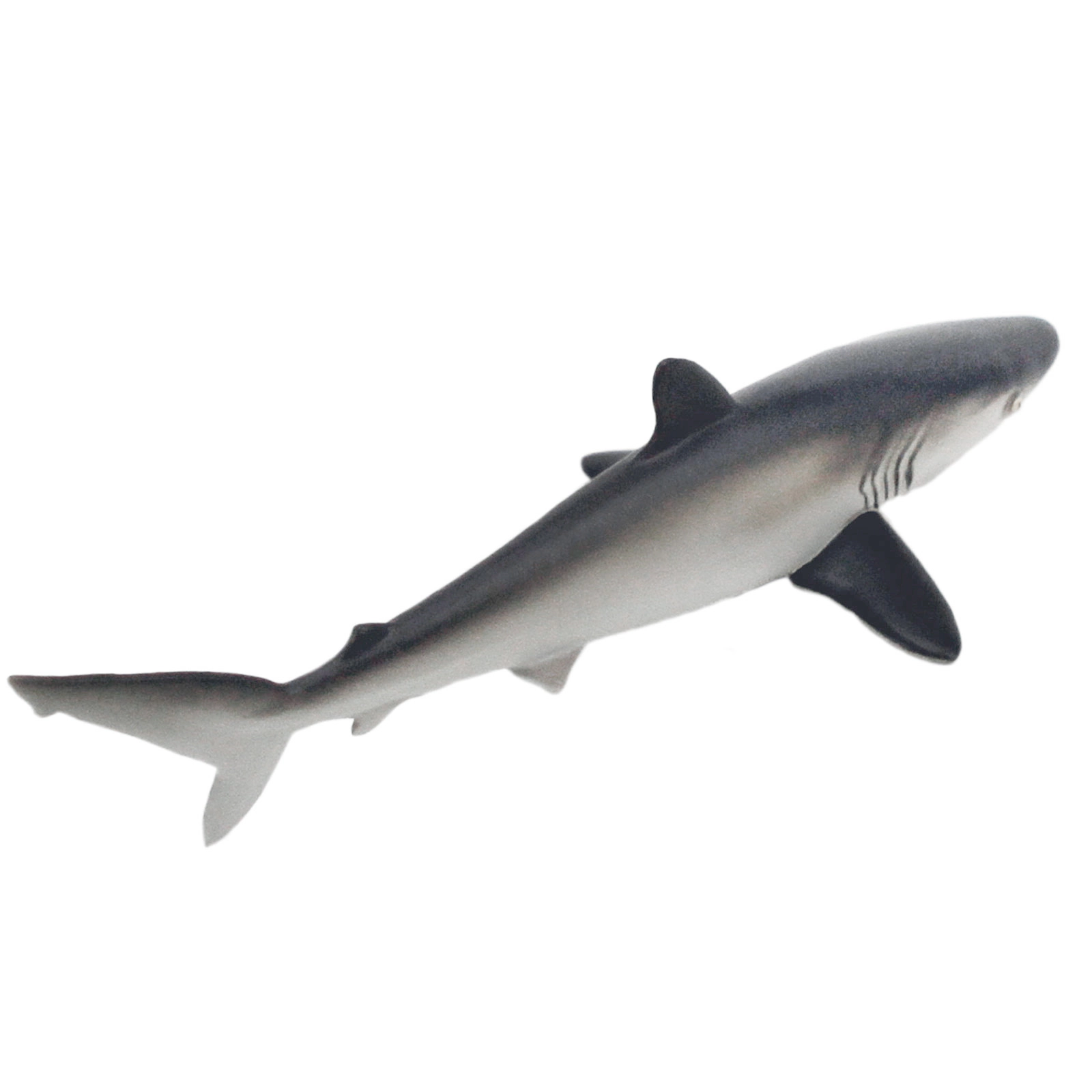 Safari Ltd. - Silky Shark Kids Toy Figure