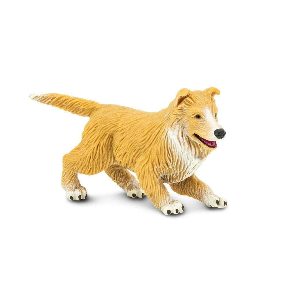 Safari Ltd. - Collie Puppy Kids Toy Figure