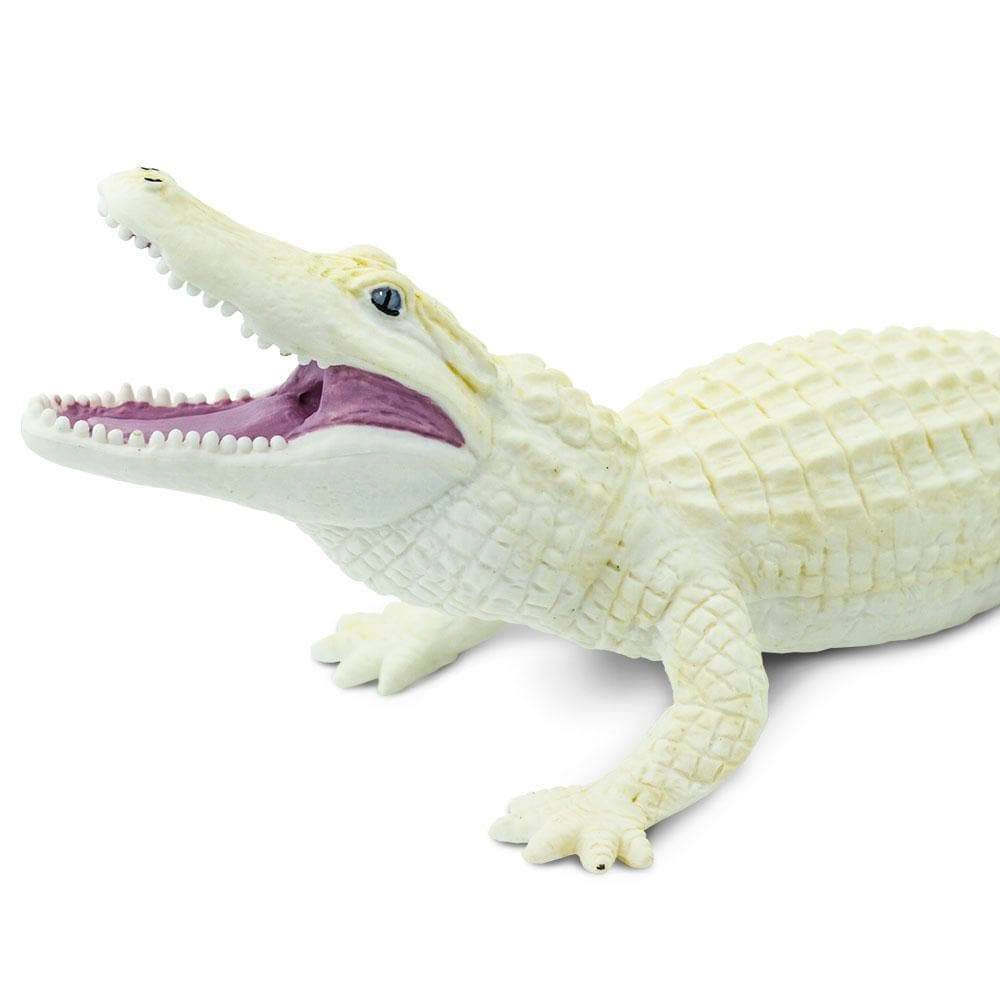 Safari Ltd. - White Alligator Kids Toy Figure