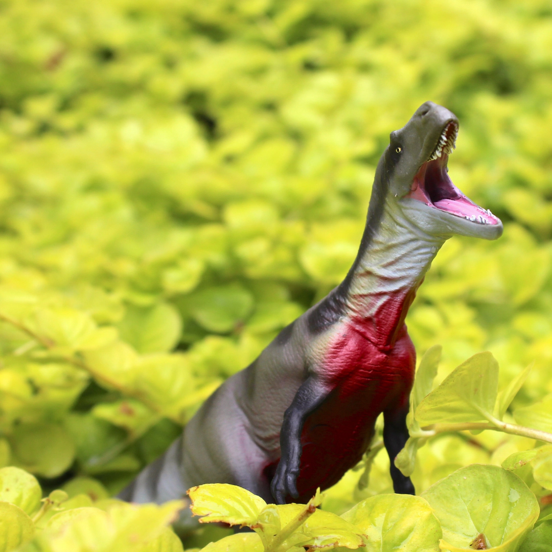 Safari Ltd. - Megalosaurus Kids Prehistoric/Dinosaur Toy Figure
