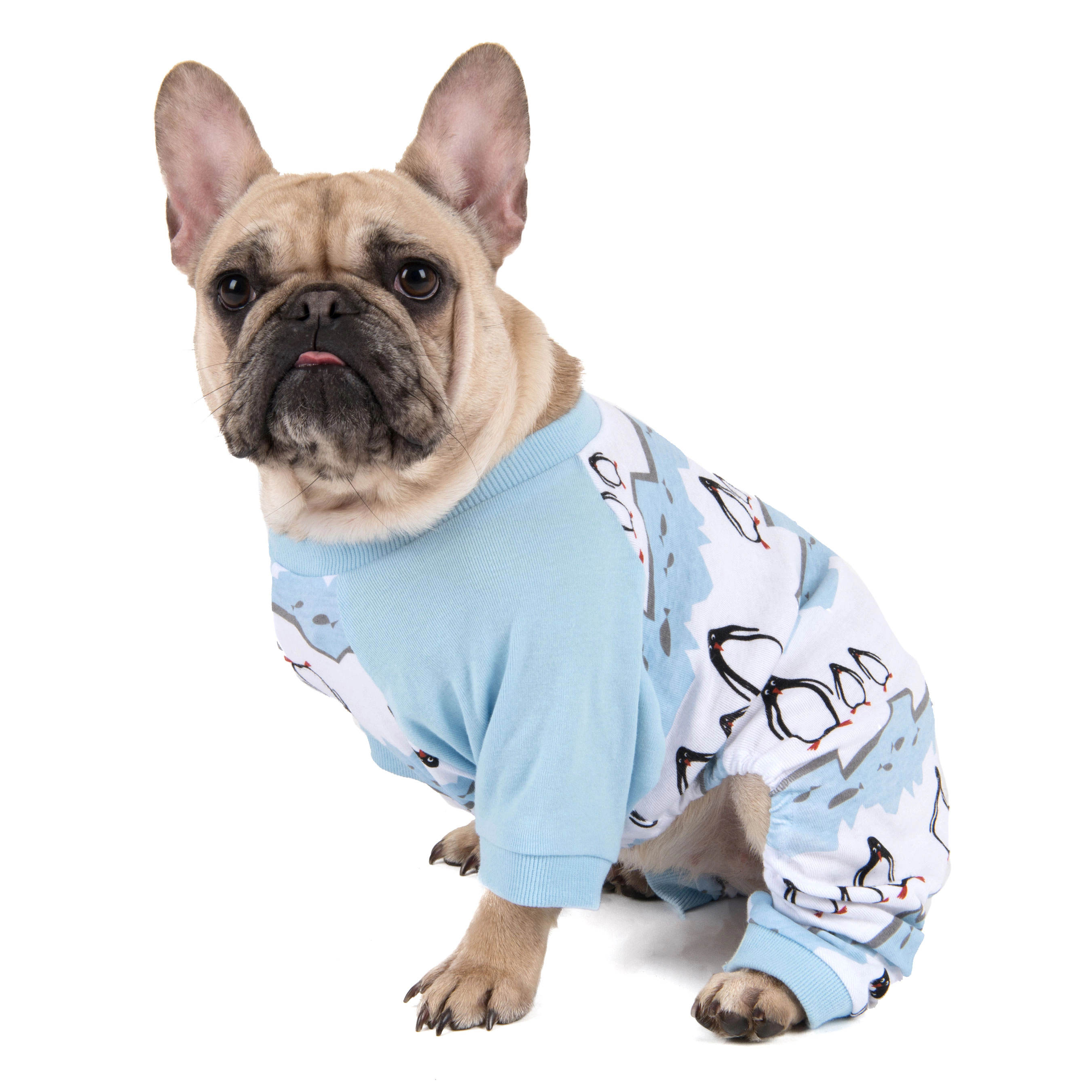 Leveret Dog Cotton Print Holiday Pajamas