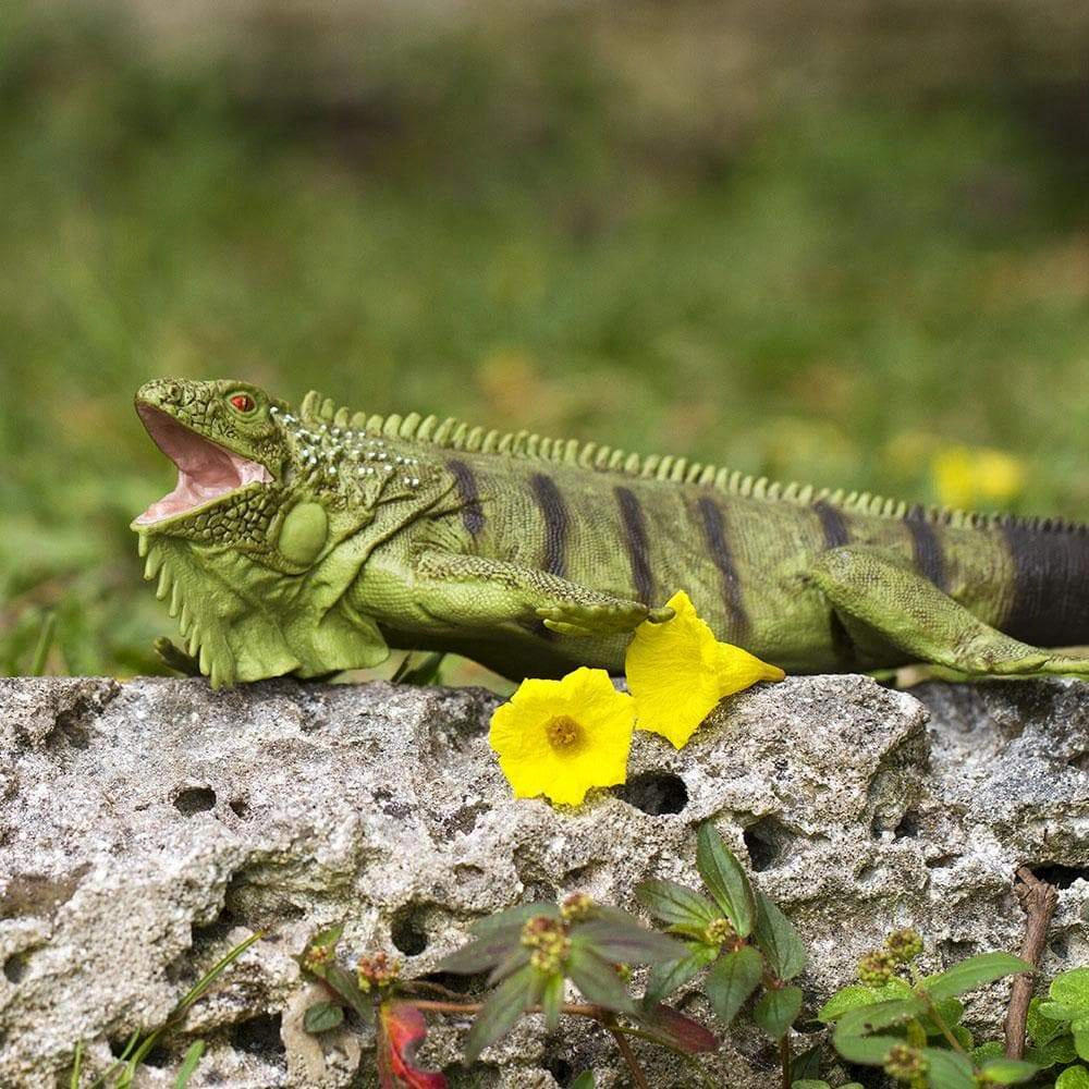 Safari Ltd. - Iguana Kids Toy Figure