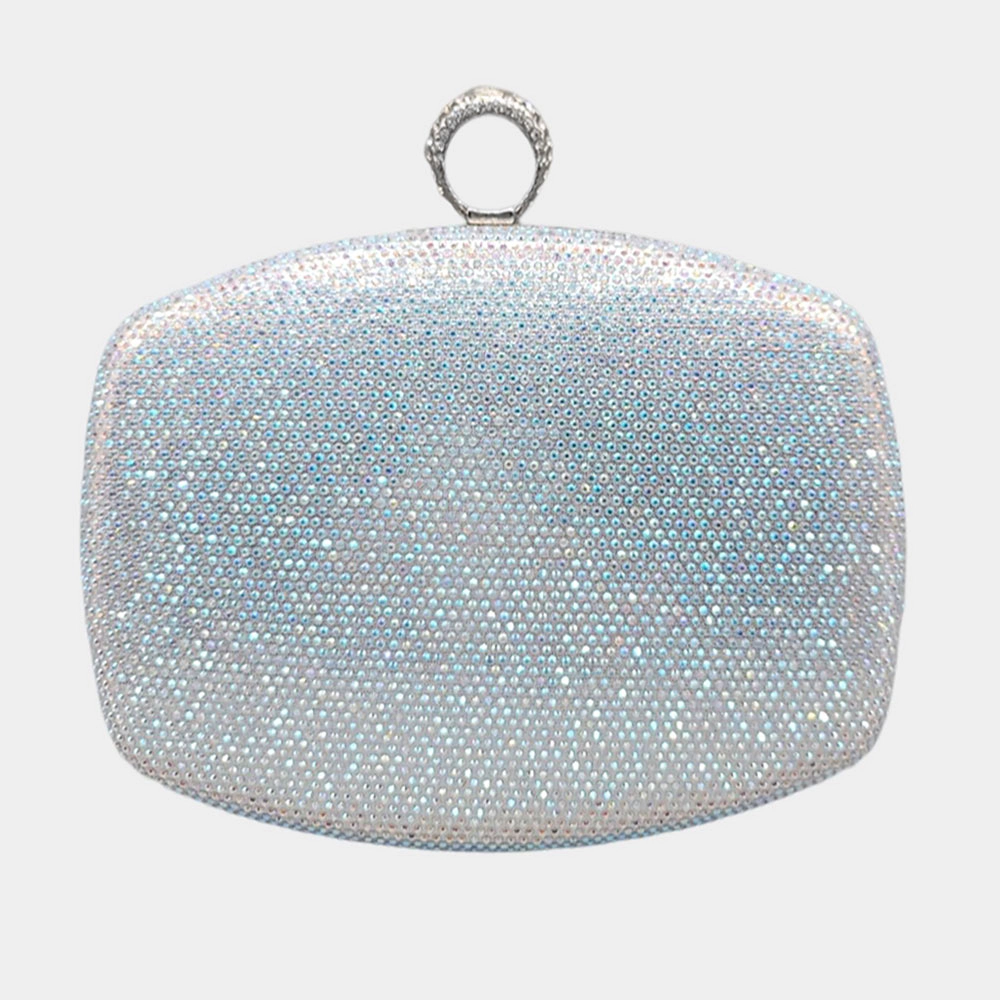 FASHNZFAB Shimmery Evening Clutch Bag
