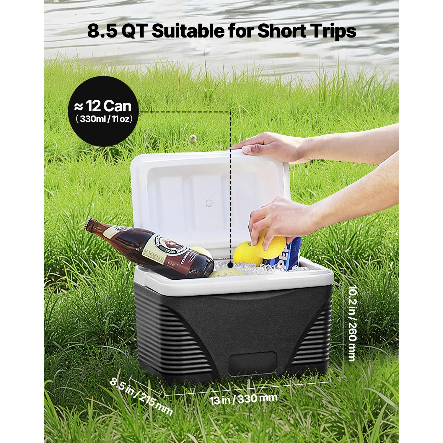 HONGGE 8.5-Quart Compact Hard Cooler with Carry Handle, Lightweight Insulated Ice Chest for Short Trips
