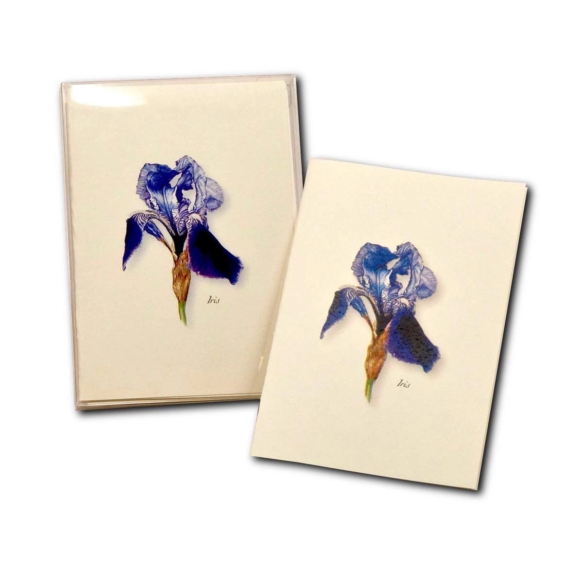 Earth Sky + Water Iris Notecard Set - 8 Blank 3.5 x 5 in Cards with Envelopes