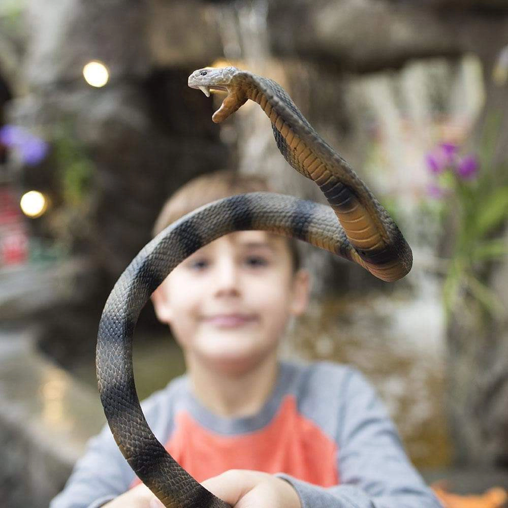 Safari Ltd. - Cobra Kids Toy Figure