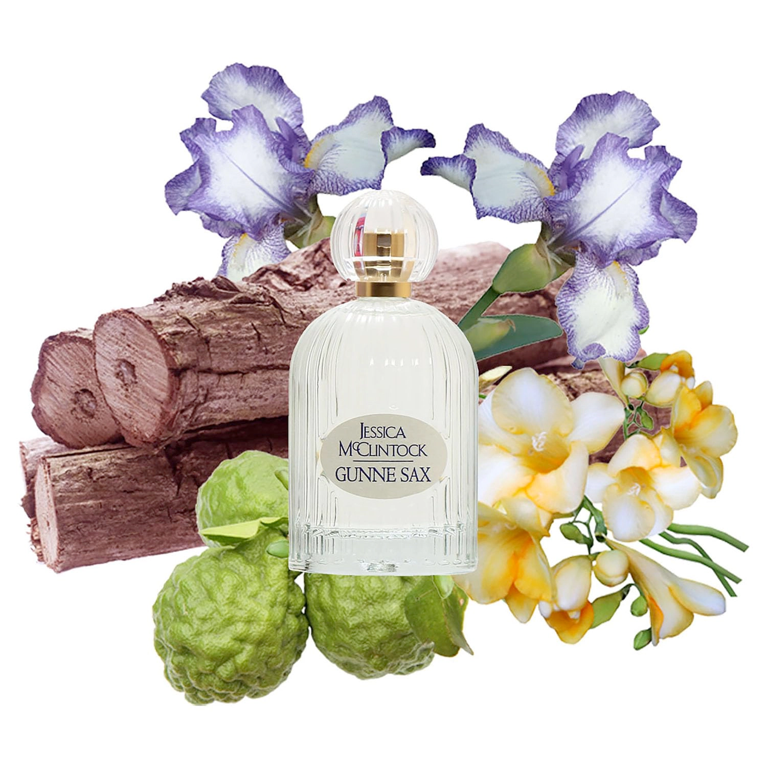 Jessica McClintock Gunne Sax Eau de Parfum for Women, Romantic Floral 3.4 oz Spray