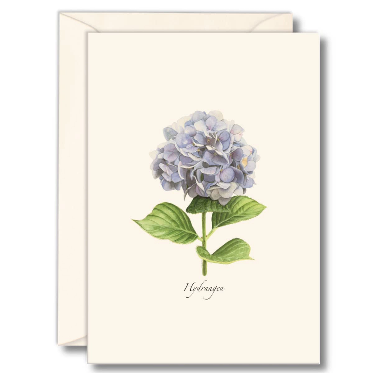 Earth Sky + Water Hydrangea Notecard Set - 8 Blank Cards with Envelopes