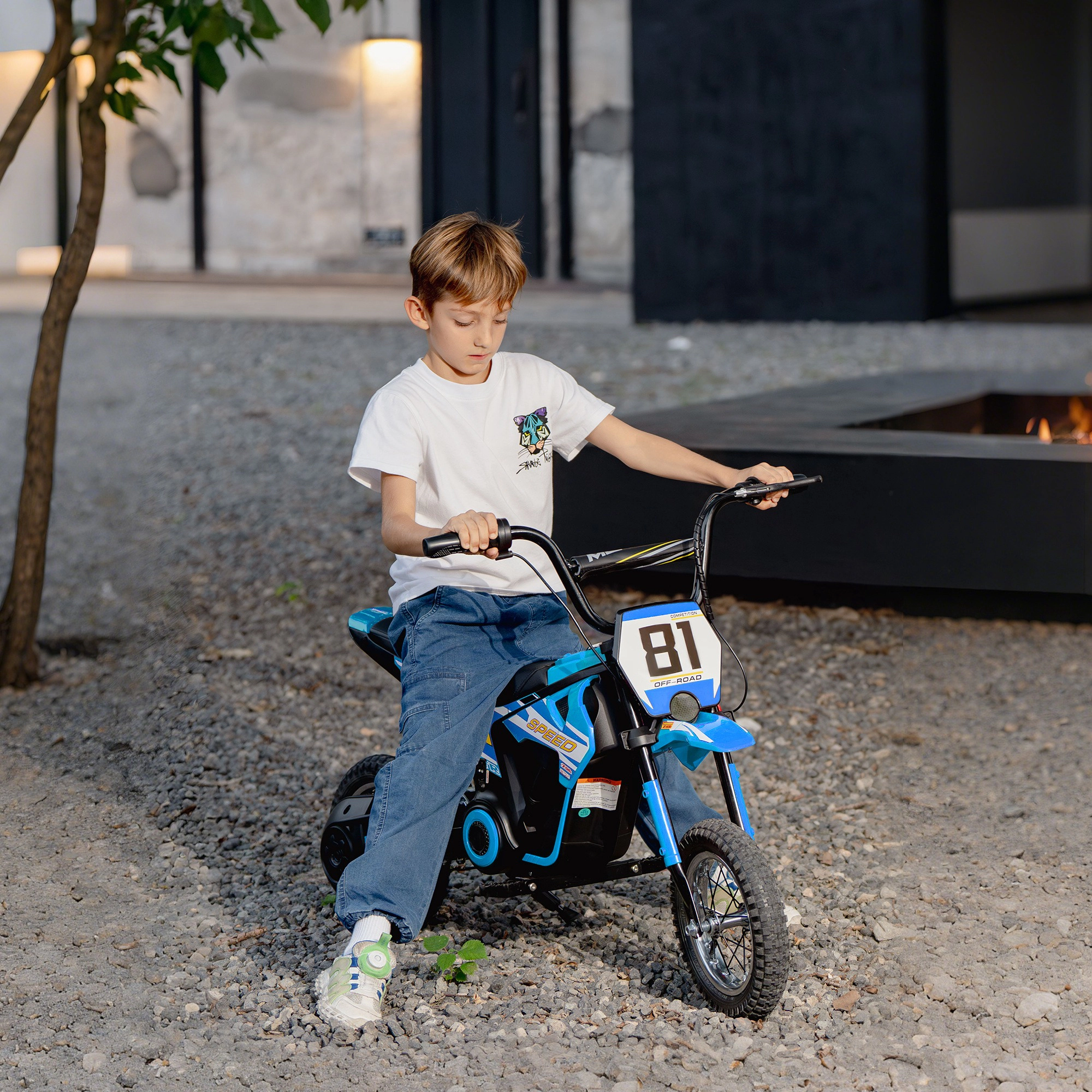 HONGGE Qaba 24V Kids Motorcycle, Electric Dirt Bike with 250W Motor, Up to 9.9 MPH