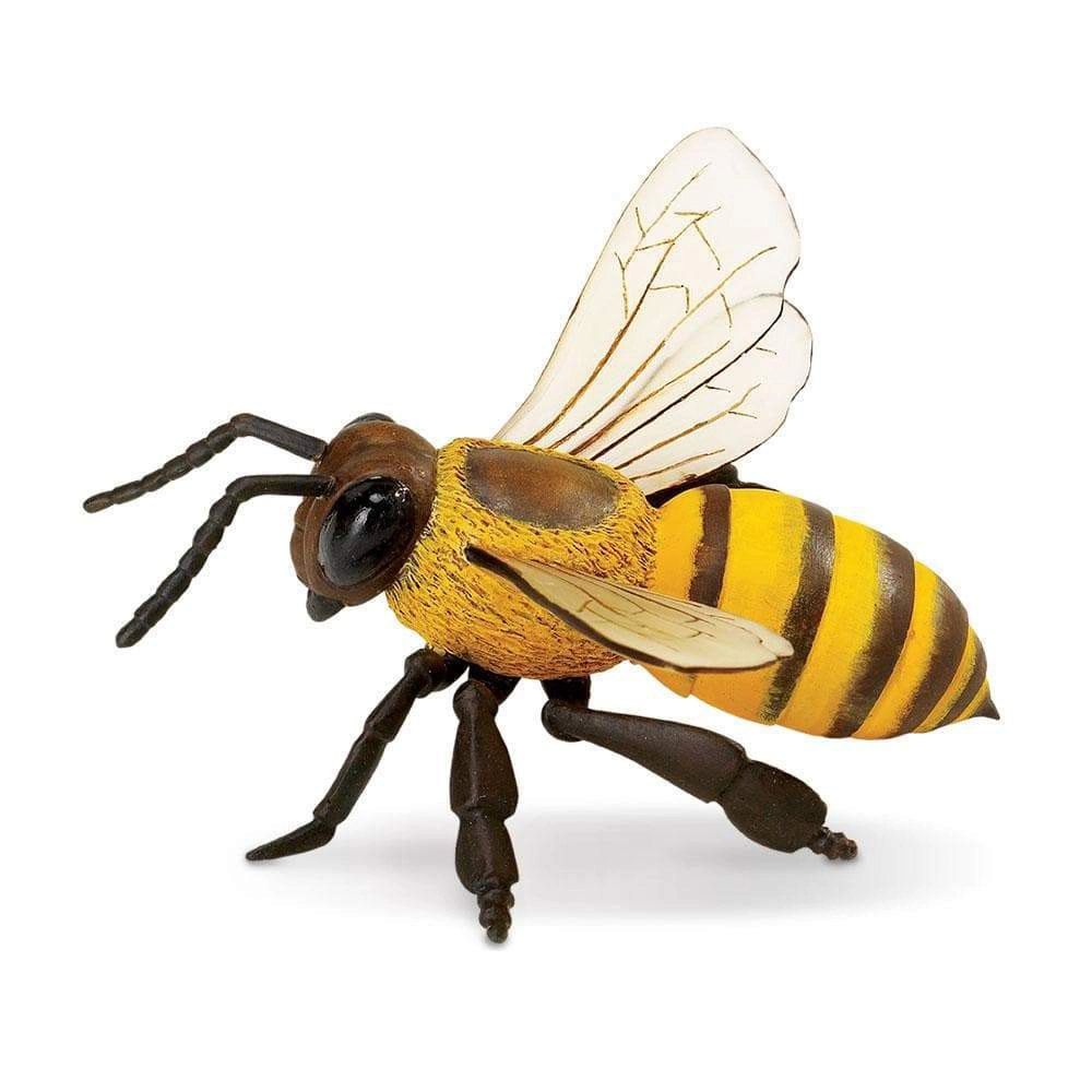 Safari Ltd. - Honey Bee Kids Toy Figure