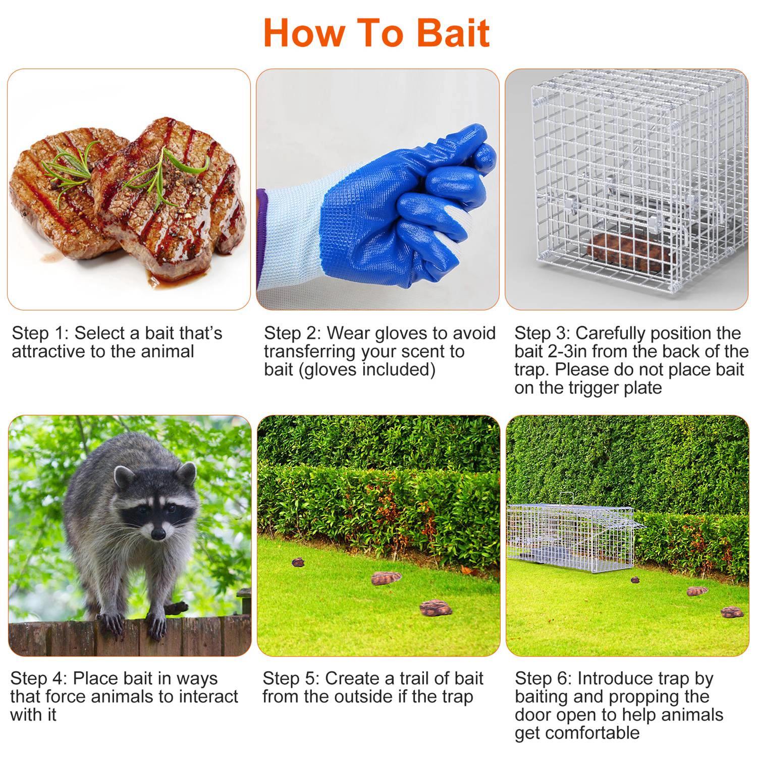 GBruno Heavy Duty Folding Live Animal Trap Cage
