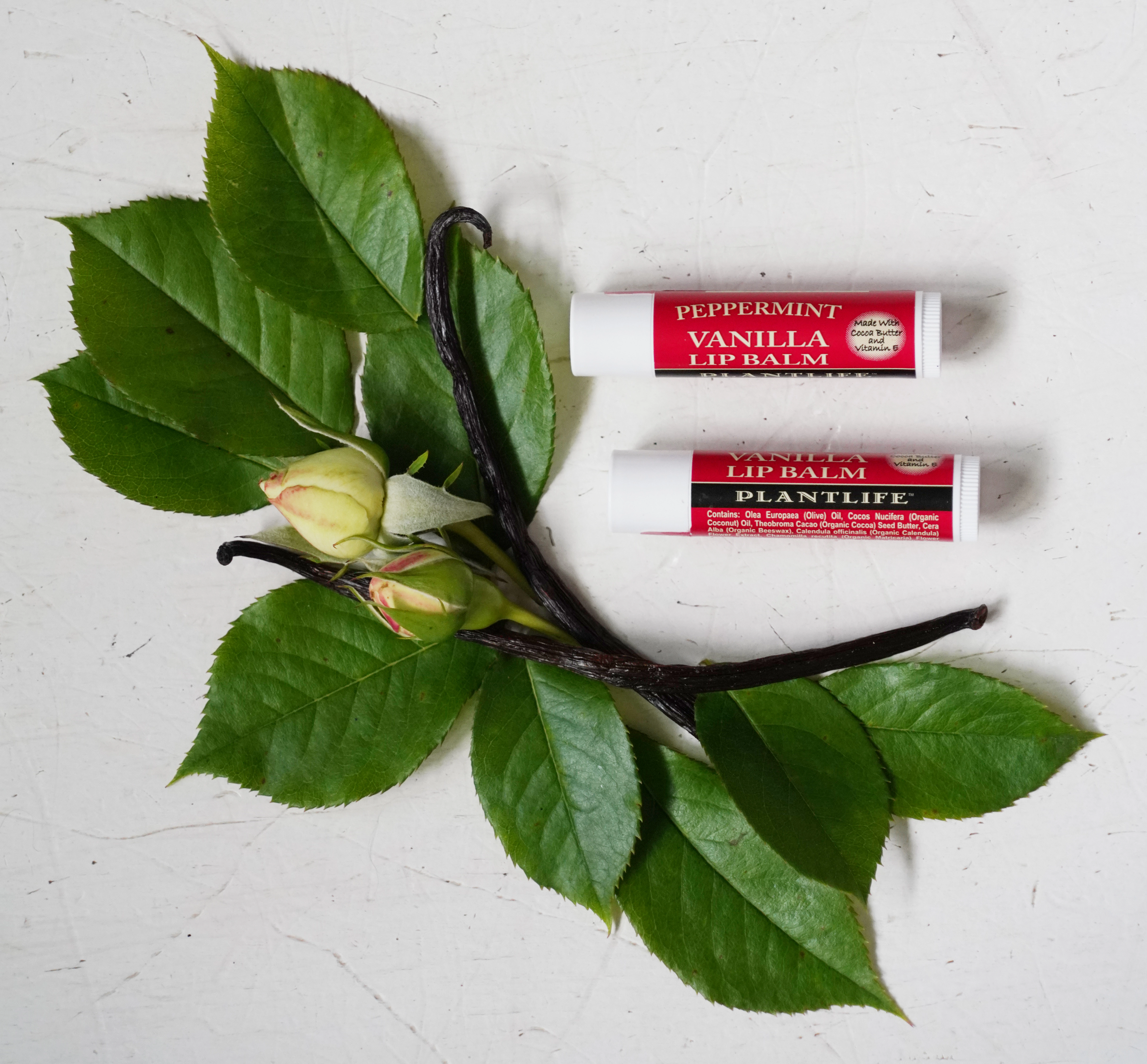 Plantlife Peppermint Vanilla Lip Balm
