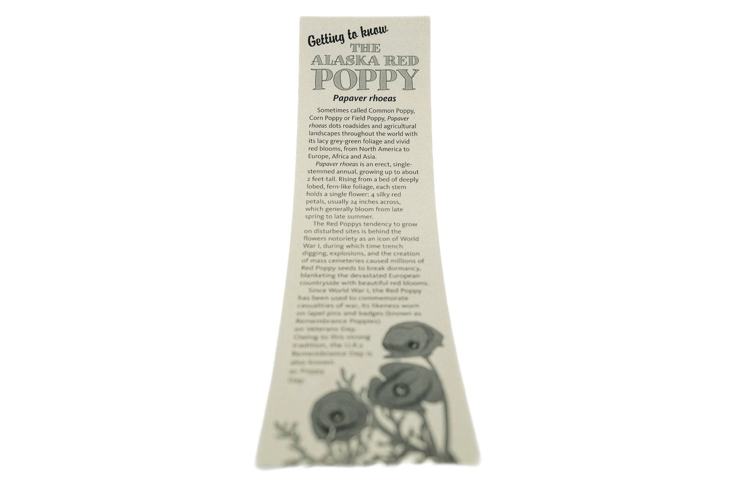 Jonsteen Company Red Poppy Flower Seed Grow Kit - Papaver rhoeas, Approx. 90,000 Seeds (Covers ~1,400 sq ft)