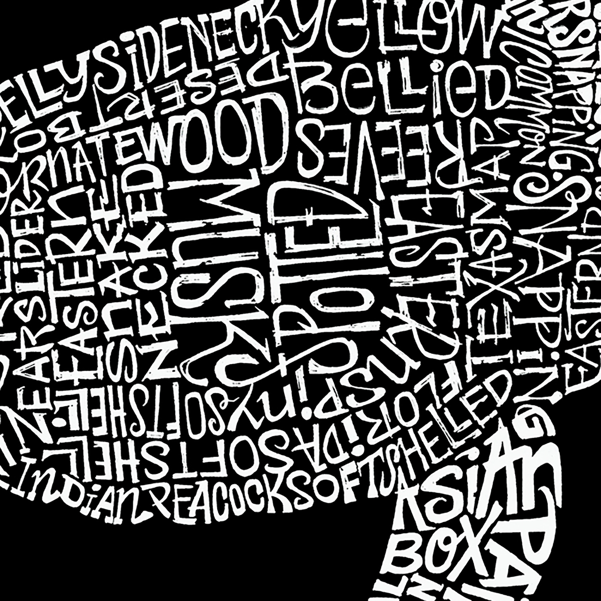 LA Pop Art Men's Turtle Word T-Shirt