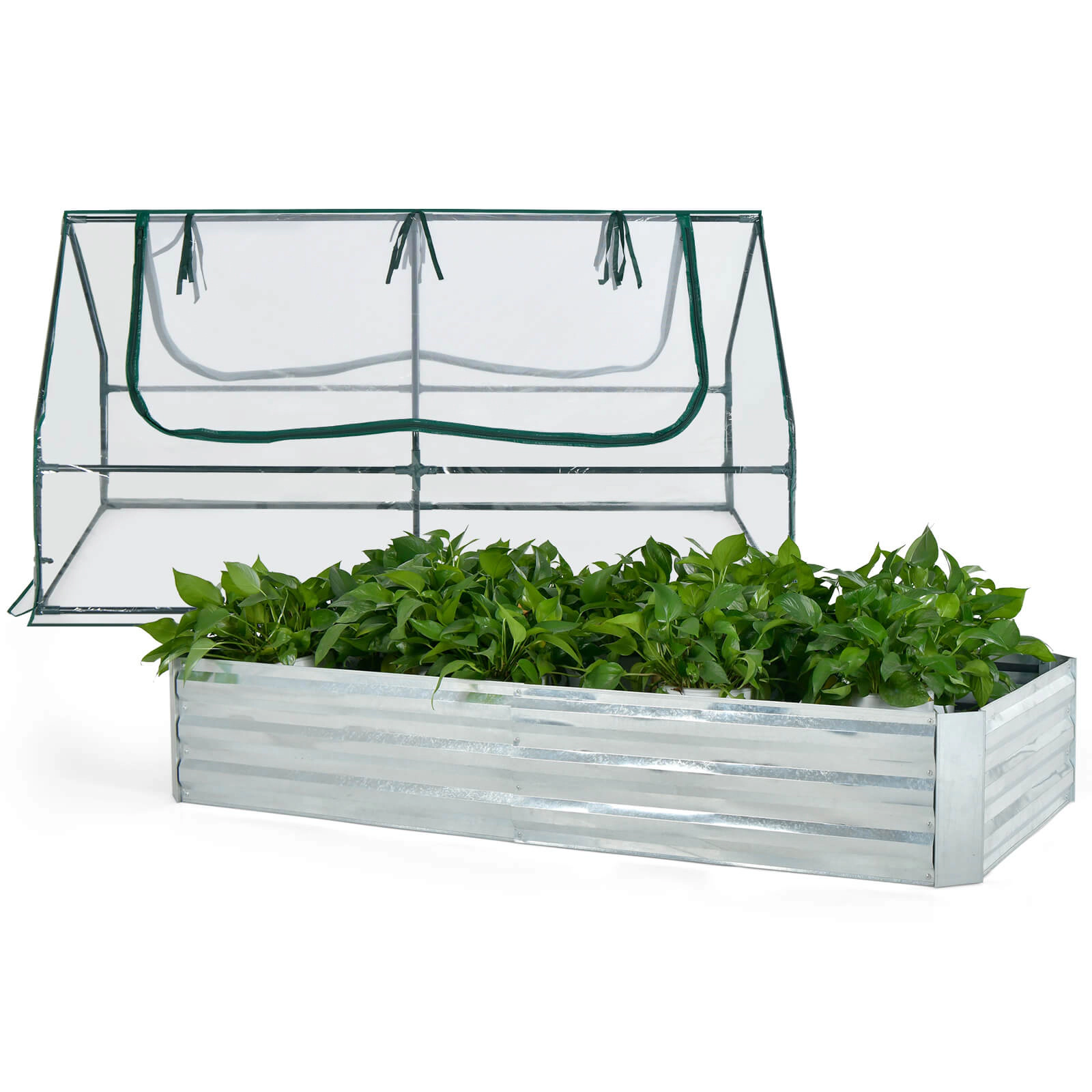 SUGIFT 6-ft x 3-ft Silver Galvanized Raised Garden Bed with PVC Greenhouse Cover and 2 Roll-Up Windows