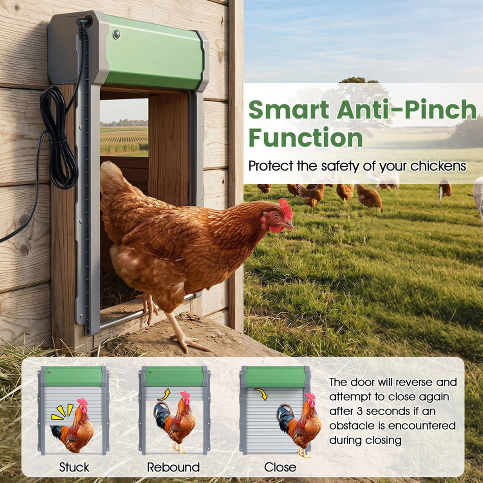 SUGIFT Automatic Solar Chicken Coop Door with Remote Control and Light Sensor Timer Green & Sliver