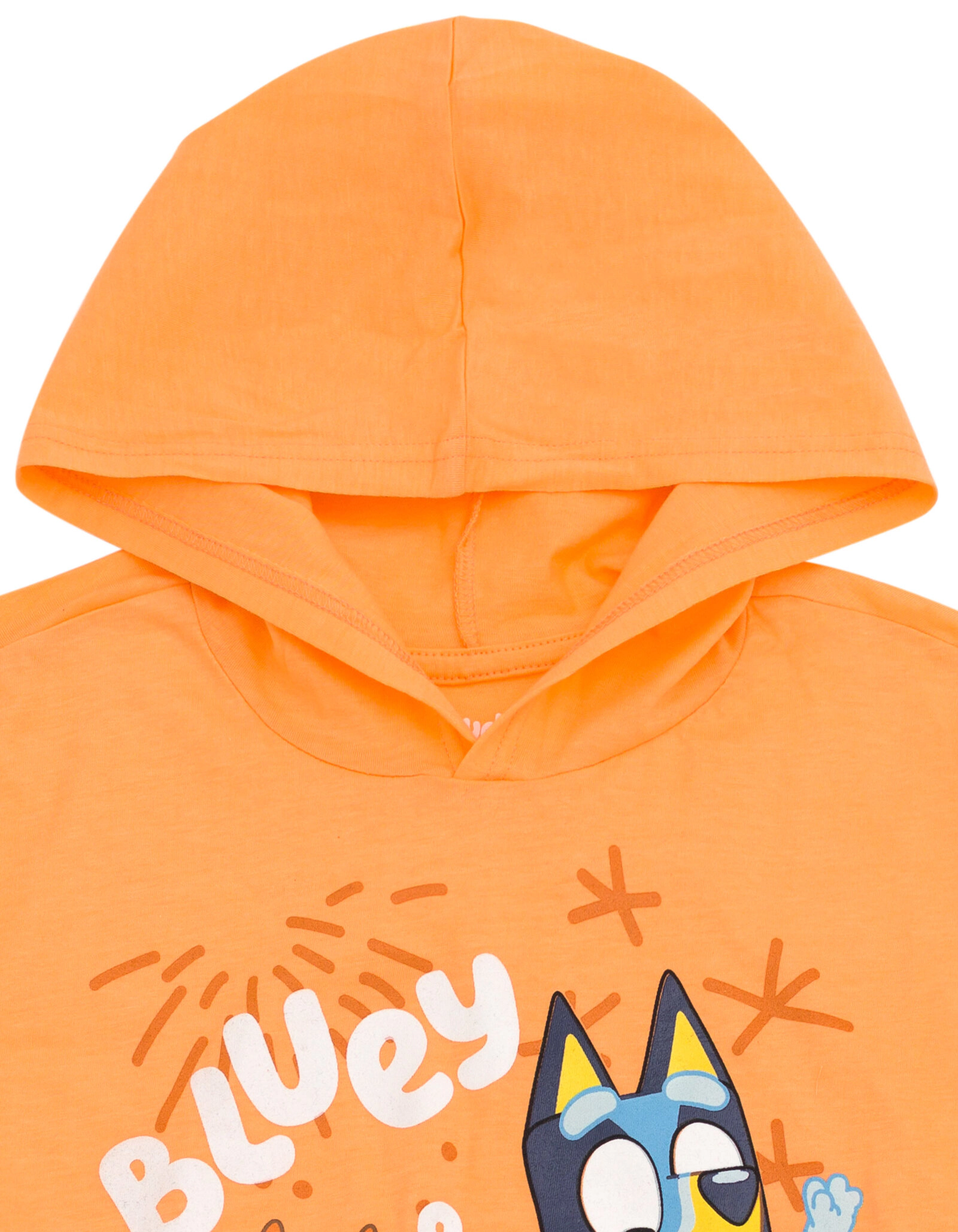 Bluey Boys' 2-Piece Hooded Tee and Joggers Set