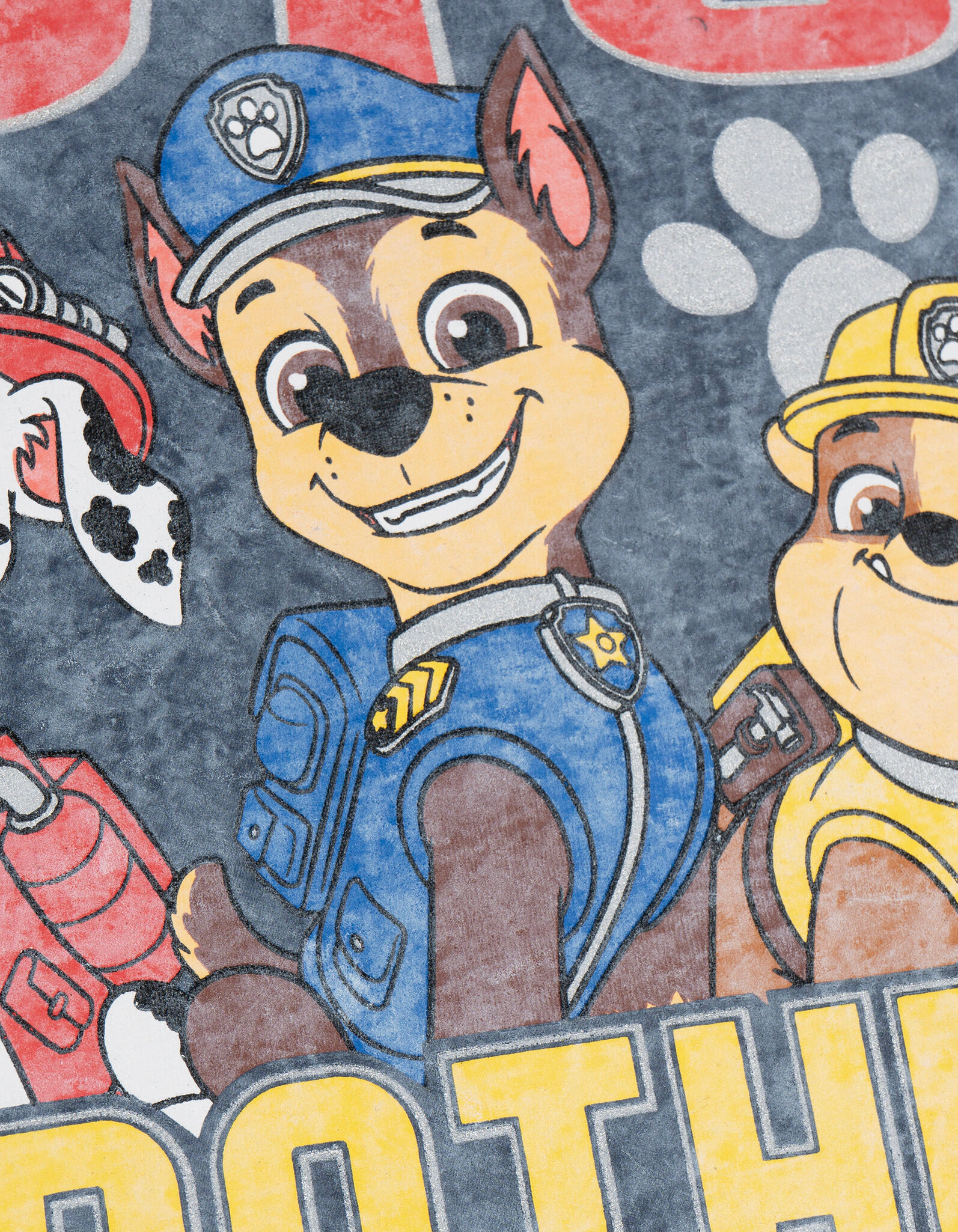 Paw Patrol Boys' Short Sleeve T-Shirt