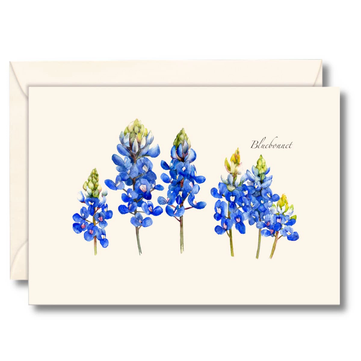 Earth Sky + Water Bluebonnet Notecard Set - 8 Blank Recycled Paper Cards with Envelopes